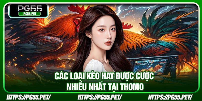 Các loại kèo hay được cược nhiều nhất tại Thomo