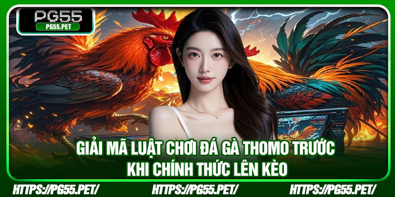 Giải mã luật chơi đá gà Thomo trước khi chính thức lên kèo