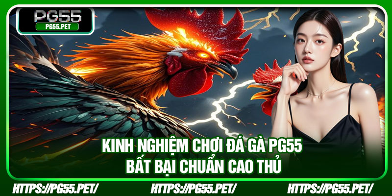 Kinh nghiệm chơi đá gà PG55 bất bại chuẩn cao thủ