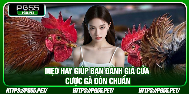 Mẹo hay giúp bạn đánh giá cửa cược gà đòn chuẩn