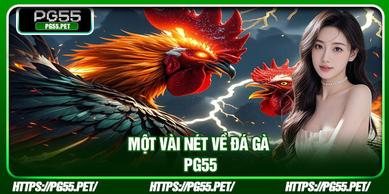 Một vài nét về đá gà PG55