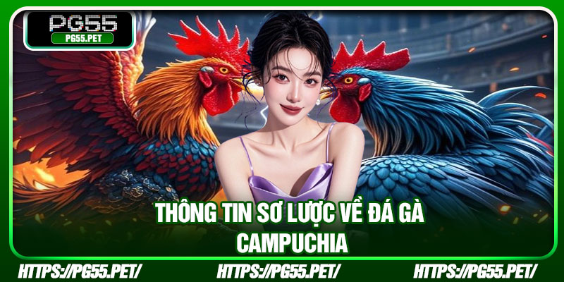Thông tin sơ lược về đá gà Campuchia