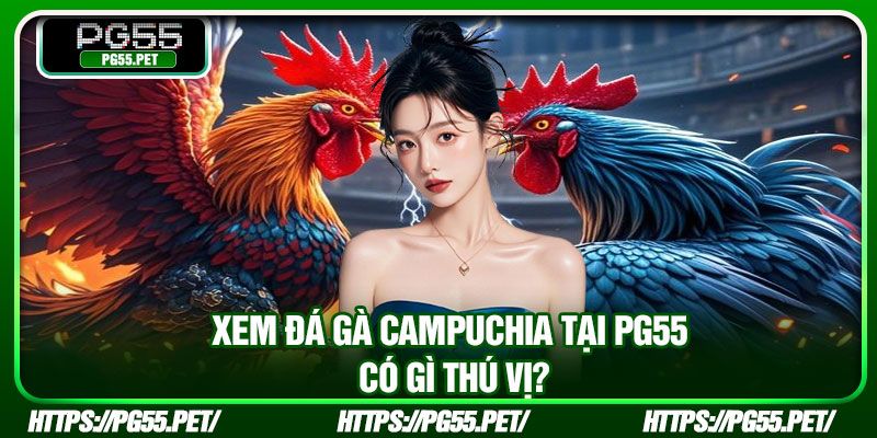 Xem đá gà Campuchia tại PG55 có gì thú vị?